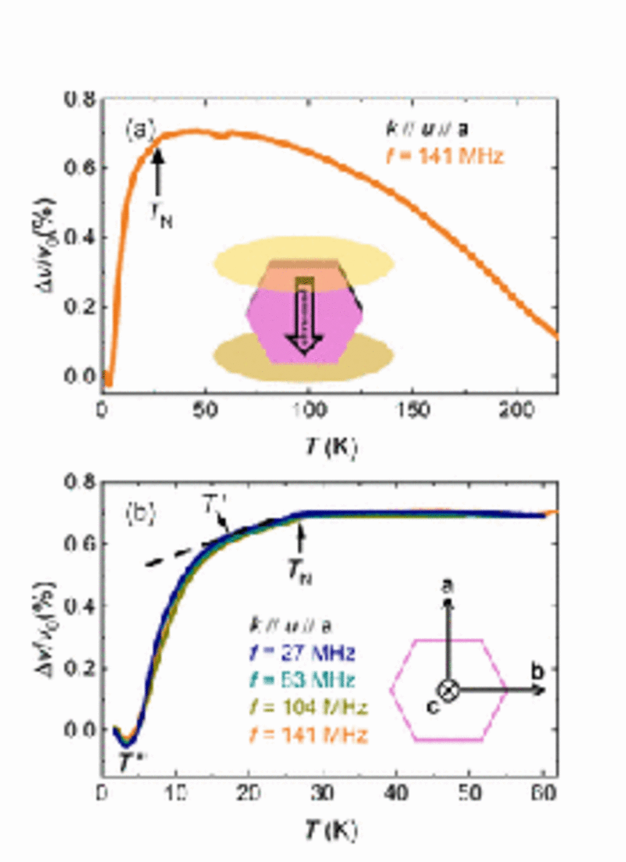 Direct probe of magnetic field effects on phonons by ultrasound propagation in the quasi-two-dimensional honeycomb magnet Na2Co2TeO6